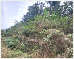  2024Ÿ1691  ֽ ̾ȸ  73      (Ӿ)