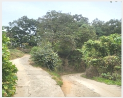  2024Ÿ1691  ֽ ̾ȸ  73      (Ӿ)