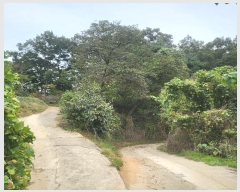  2024Ÿ1691  ֽ ̾ȸ  73      (Ӿ)