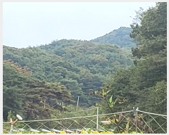  2024Ÿ1691  ֽ ̾ȸ  73      (Ӿ)