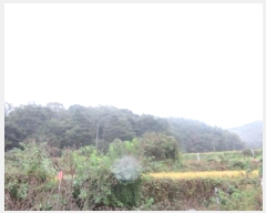  2024Ÿ1691  ֽ ̾ȸ  73      (Ӿ)