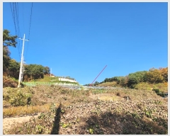  2024Ÿ��1714  ���������