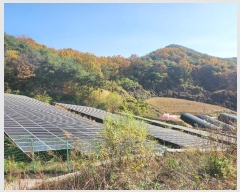  2024Ÿ��1714  ���������