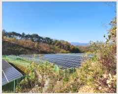  2024Ÿ��1714  ���������