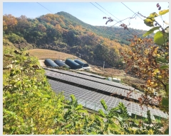  2024Ÿ��1714  ���������