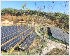  2024Ÿ��1714  ���������