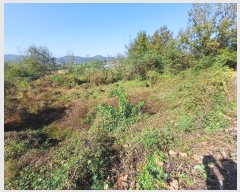  2024Ÿ1738  õ   543      (Ӿ)