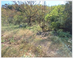  2024Ÿ1738  õ   543      (Ӿ)