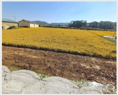  2024Ÿ1738  õ   543      (Ӿ)