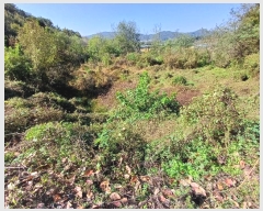  2024Ÿ1738  õ   543      (Ӿ)