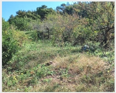  2024Ÿ1738  õ   543      (Ӿ)