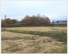  2024Ÿ1790  ֽ ȭ õ 240-2      (1)