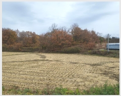  2024Ÿ1790  ֽ ȭ õ 240-2      (1)