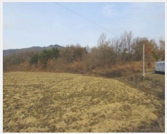  2024Ÿ1790  ֽ ȭ õ 240-2      (1)