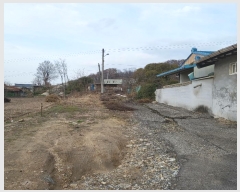  2024Ÿ��1936  �������