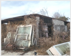  2024Ÿ��1936  �������