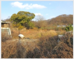  2024Ÿ��1936  �������