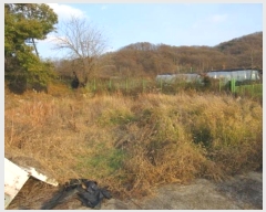  2024Ÿ��1936  �������