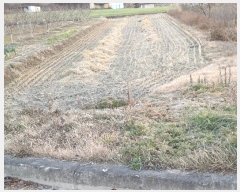  2024Ÿ��1998  ����