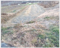  2024Ÿ��1998  ����