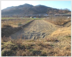  2024Ÿ��1998  ����