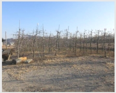  2024Ÿ��2076  �����