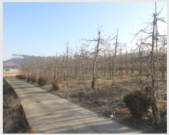  2024Ÿ��2076  �����