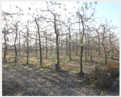  2024Ÿ��2076  �����