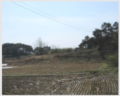  2024Ÿ��70772 ��� ����� ������ ���¸� 667      ����(��)���