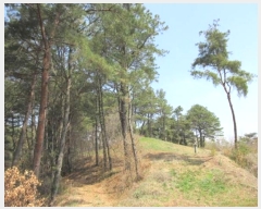  2024Ÿ70772  õ   91      (Ӿ)