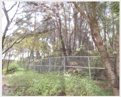  2024Ÿ70772  õ   91      (Ӿ)