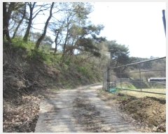  2024Ÿ70772  õ   91      (Ӿ)