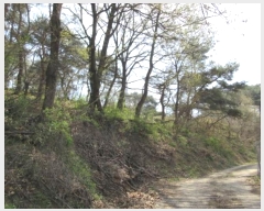  2024Ÿ70772  õ   91      (Ӿ)