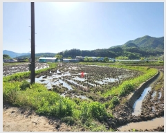  2024Ÿ��70994 ��� ���ֽ� ȭ���� ������ 92      ����(��)���