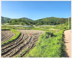  2024Ÿ��70994 ��� ���ֽ� ȭ���� ������ 92      ����(��)���