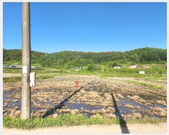  2024Ÿ��70994 ��� ���ֽ� ȭ���� ������ 92      ����(��)���