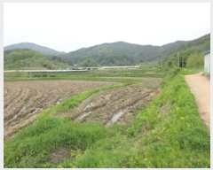  2024Ÿ��70994 ��� ���ֽ� ȭ���� ������ 92      ����(��)���