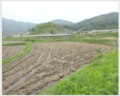  2024Ÿ��70994 ��� ���ֽ� ȭ���� ������ 92      ����(��)���