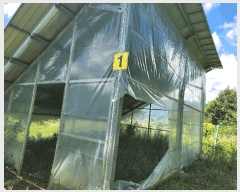  2024Ÿ��71799 ��� ����� ������ �ܾ 562-1      ���(�󰡽ü�)���