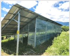  2024Ÿ��71799 ��� ����� ������ �ܾ 562-1      ���(�󰡽ü�)���