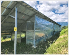  2024Ÿ��71799 ��� ����� ������ �ܾ 562-1      ���(�󰡽ü�)���