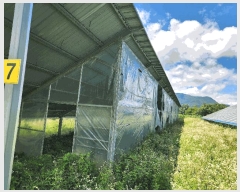  2024Ÿ��71799 ��� ����� ������ �ܾ 562-1      ���(�󰡽ü�)���