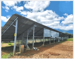  2024Ÿ��71799 ��� ����� ������ �ܾ 562-1      ���(�󰡽ü�)���