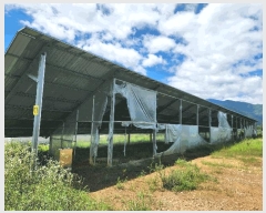  2024Ÿ��71799 ��� ����� ������ �ܾ 562-1      ���(�󰡽ü�)���