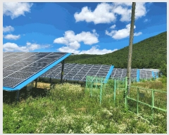  2024Ÿ��71799 ��� ����� ������ �ܾ 562-1      ���(�󰡽ü�)���