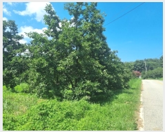  2024Ÿ71911  ֽ  Ÿ 32-3      (1)