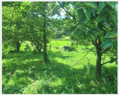  2024Ÿ71911  ֽ  Ÿ 32-3      (1)