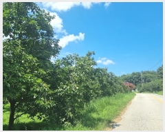  2024Ÿ71911  ֽ  Ÿ 32-3      (1)