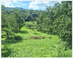  2024Ÿ71911  ֽ  Ÿ 32-3      (1)