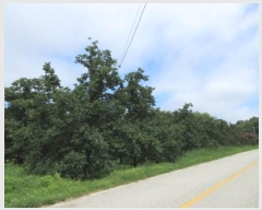  2024Ÿ71911  ֽ  Ÿ 32-3      (1)